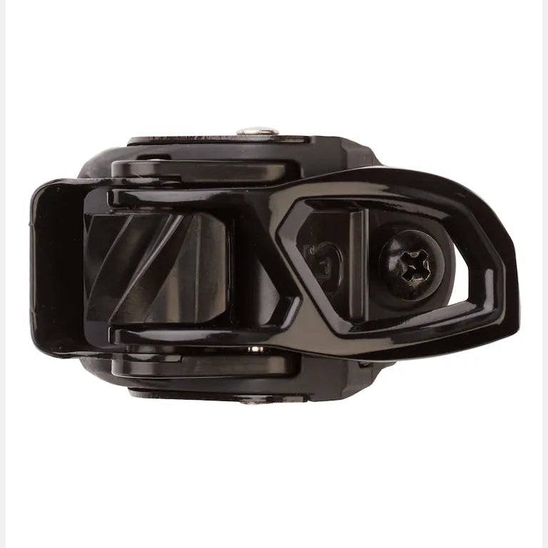 Double Take Buckle