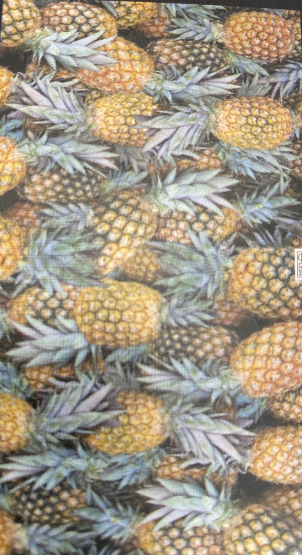 Pineapple Paradis Towel