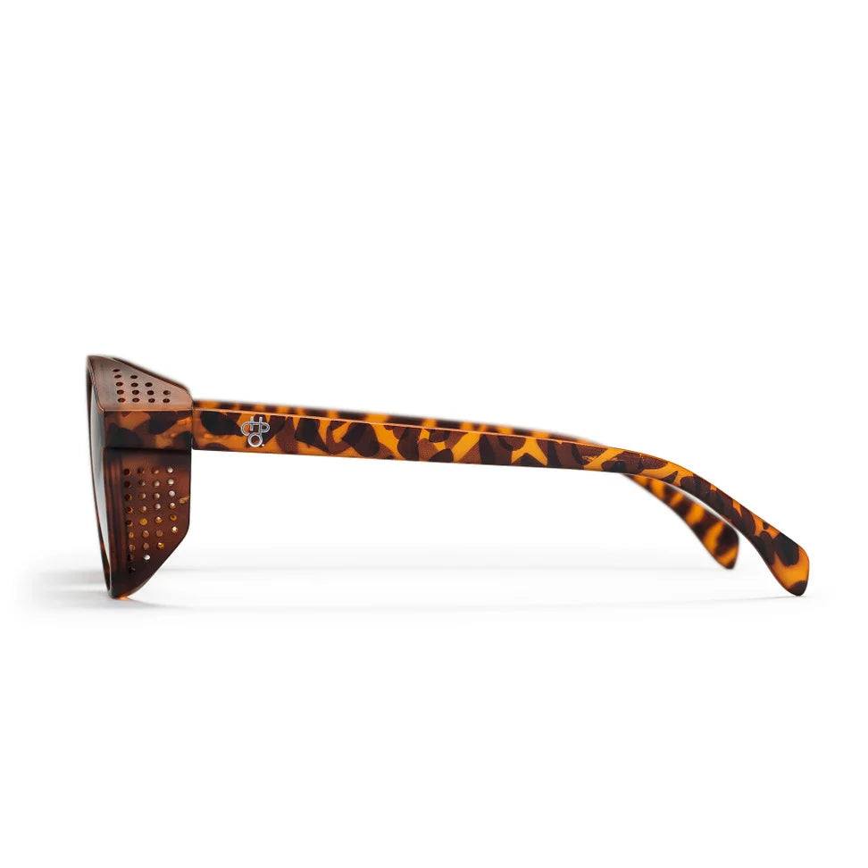 Rickard turle brown/gold mirror