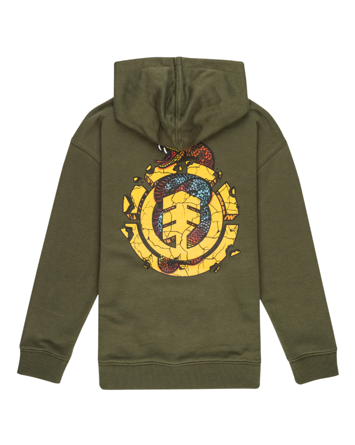 Snake Hoodie Youth - beetle