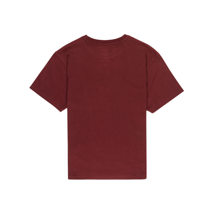 Blazin T-Shirt Youth - tawny port