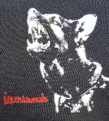 Wolf Hoodie