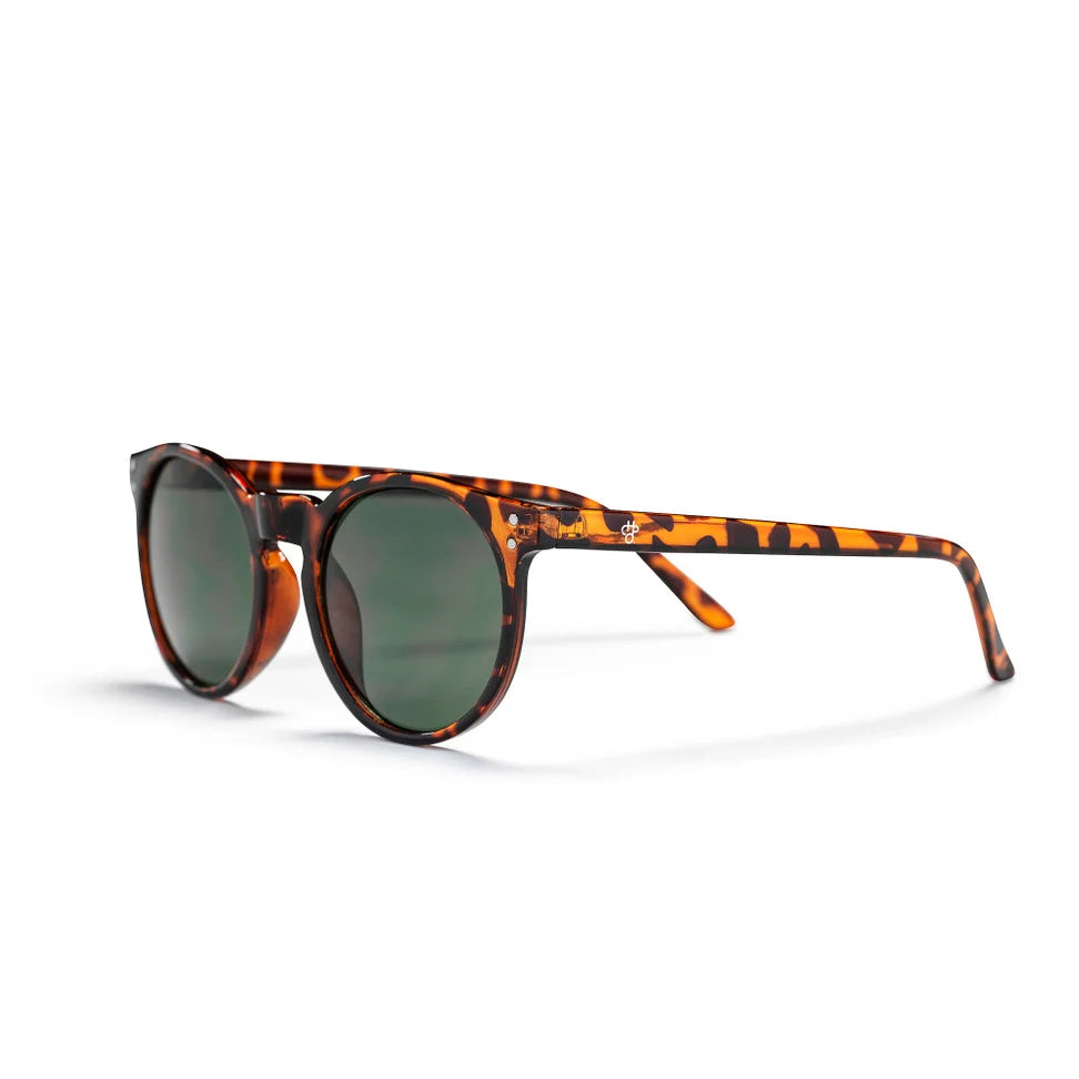 Torö turtle brown/green