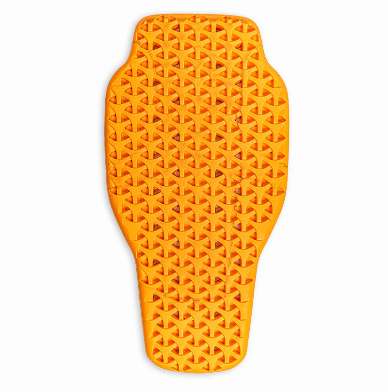 Backprotector