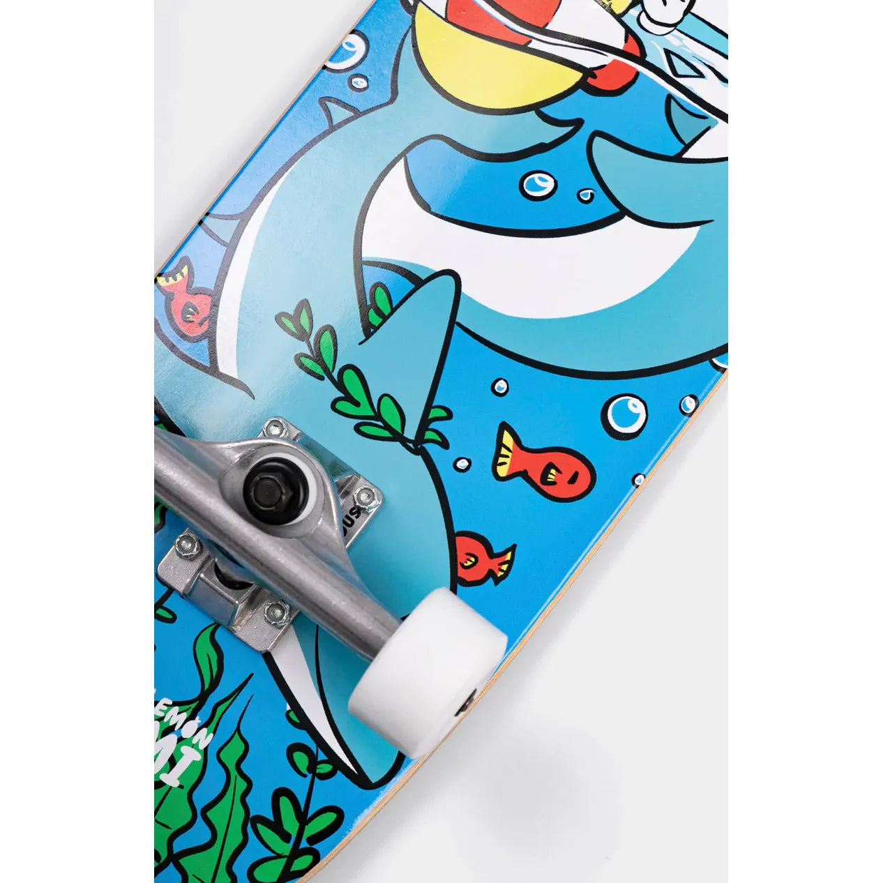 Dolphin Corkgrip Light Cruise