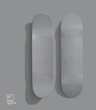 Pantone Skatedeck 8,25"