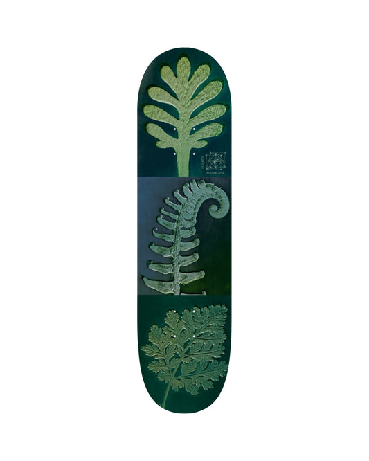 Leaves Madars Apse - 8.38''