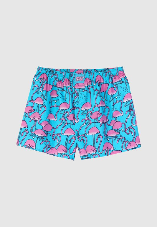 Greater Flamingos