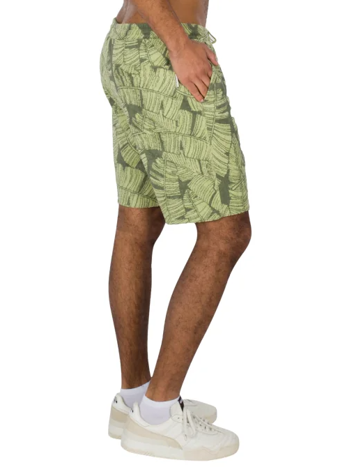 Bananos Short - light olive