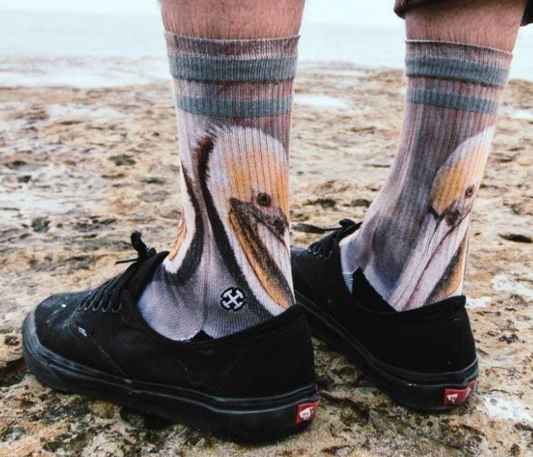 Dave Nelson - Pelican