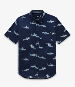 Shark SS - Blue